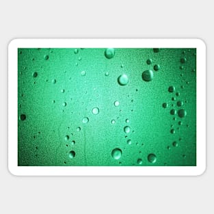 Shower Door – Green Sticker